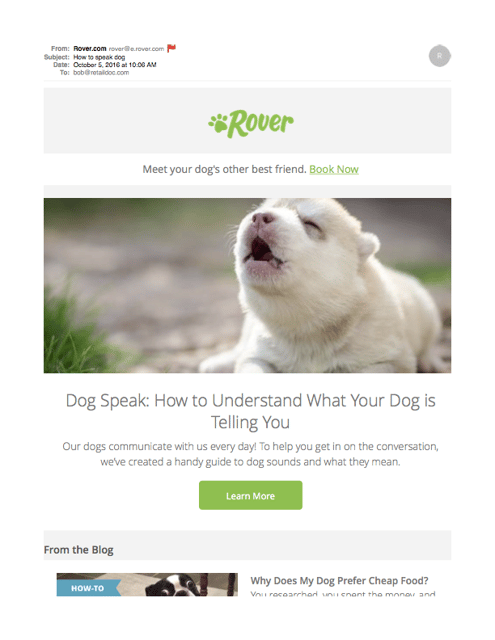 How to speak dog-rover2