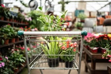 Shopping cart in garden center